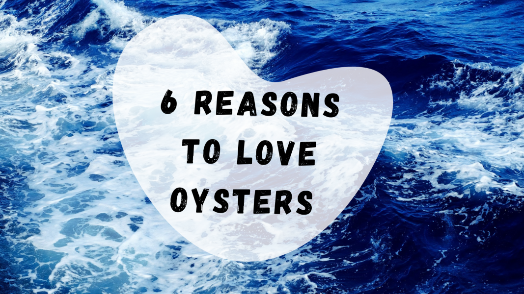 6 REASONS TO LOVE OYSTERS MORE THAN EVER.