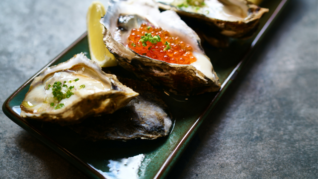 How to store the oysters properly?