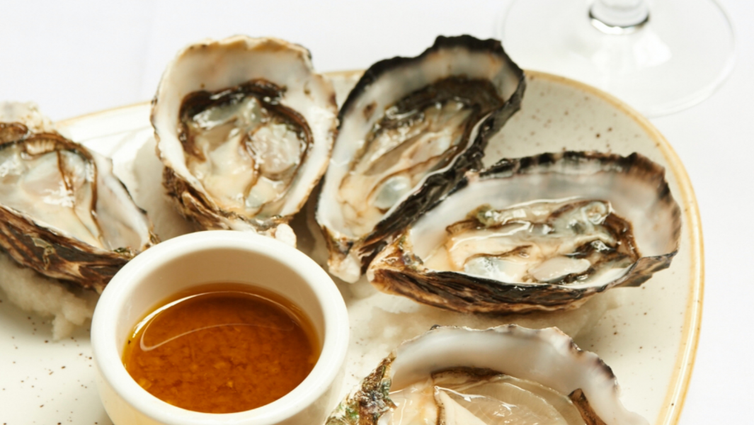 Wellfleet Oyster Fest – 2022