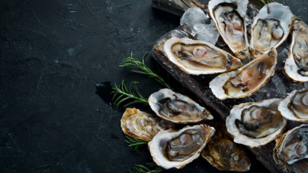 Amite Oyster Festival – “the pearl of Louisiana” 2022