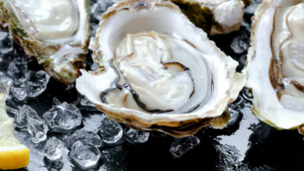 Yarmouth Clam Festival – 2022