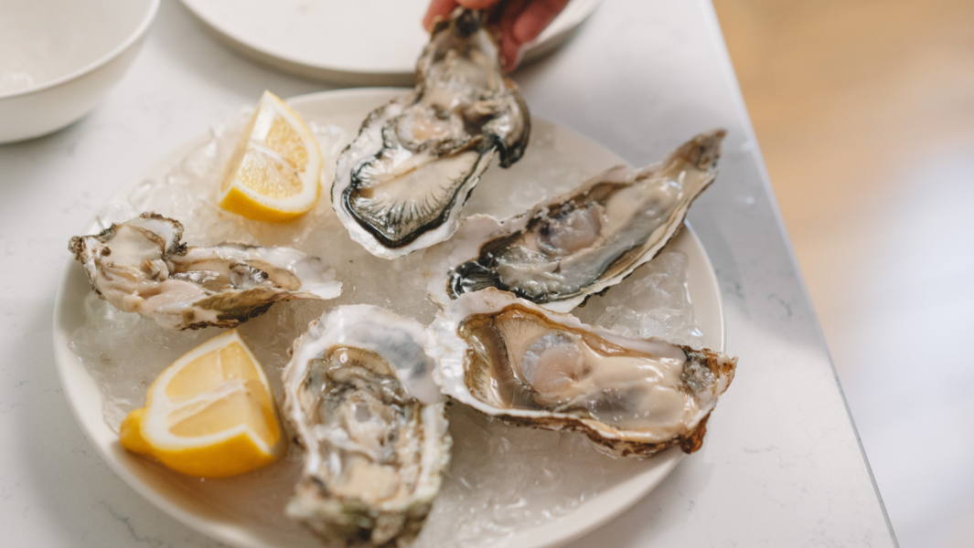 Norwalk Oyster Festival – 2021