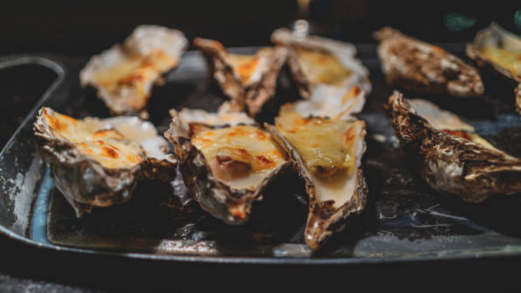 Narooma Oyster Festival – 2022
