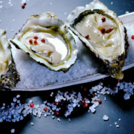 Bluff Oyster and Food Festival
