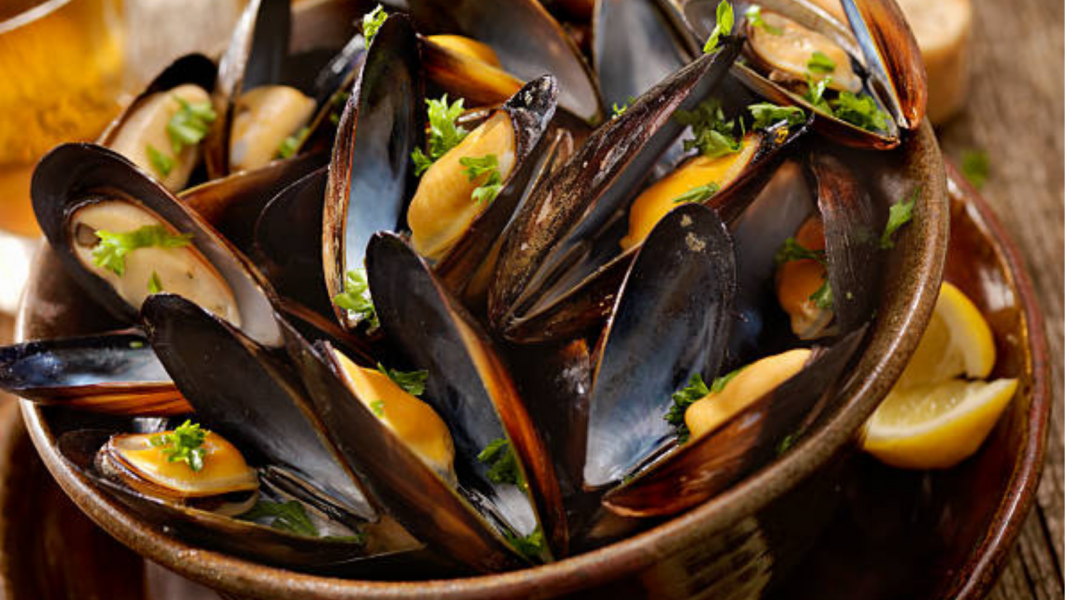 Portarlington Mussel Festival -14th January 2023