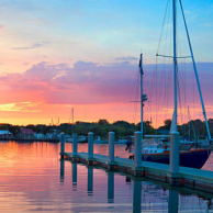 Lowcountry oyster festival