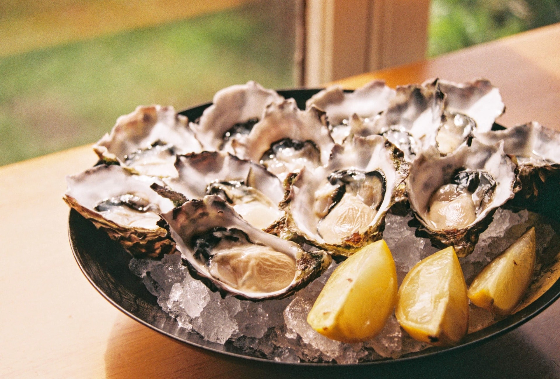 Charleston, SC Oyster Roast at Historic Drayton Hall | December 2022