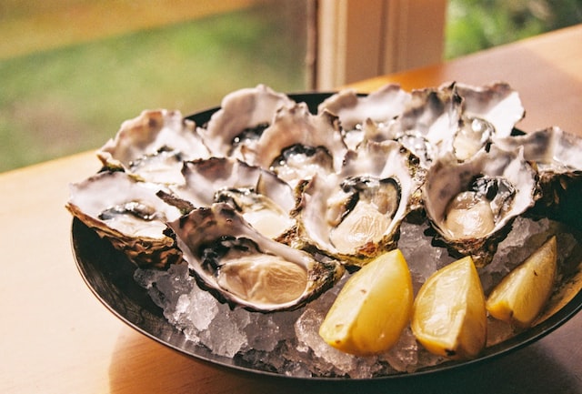 Barrier Islands Center Oyster Roast Fundraiser February 25, 2023